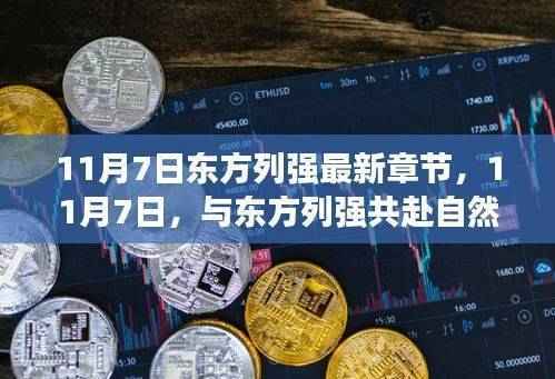 11月7日与东方列强共赴自然盛宴,探寻内心宁静与微笑的旅程