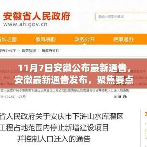 安徽最新通告解读,聚焦要点分析(附详细解读)
