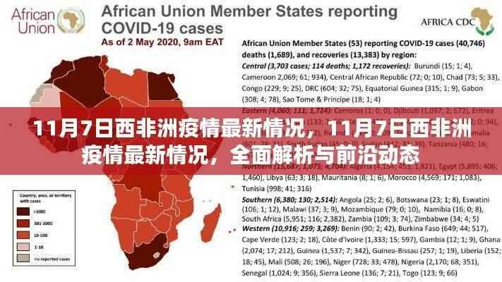 西非洲疫情最新动态,全面解析与前沿资讯(11月7日)