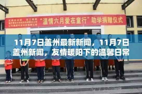 盖州新闻热点,友情暖阳下的温馨日常(11月7日最新资讯)