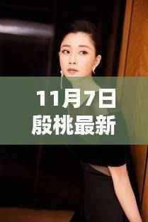 殷桃新剧时光印记,11月7日瞩目之作