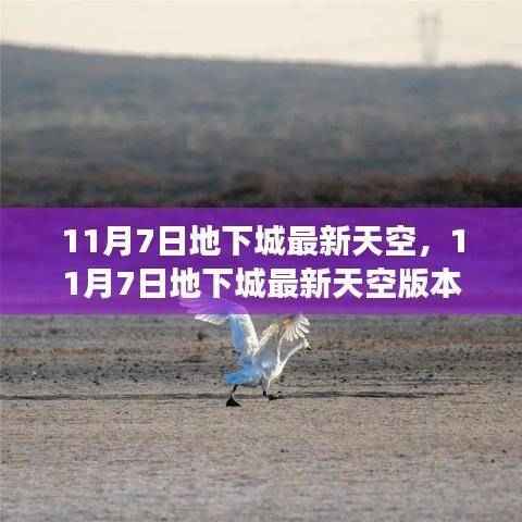11月7日地下城最新天空版本评析,游戏未来何去何从?