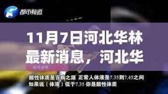河北华林最新动态解析,聚焦11月7日事件及各方观点热议
