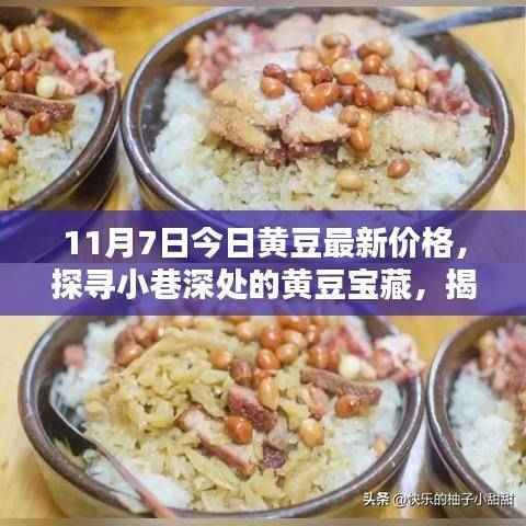 探寻黄豆宝藏,今日最新价格揭秘与特色小店的独特魅力