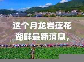 龙岩莲花湖畔最新动态揭秘,本月消息与观点聚焦