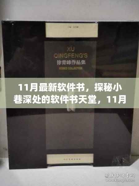 探秘小巷深处的软件书天堂,独家解读最新软件书资讯