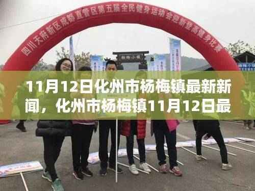 化州市杨梅镇11月12日新闻速递,获取最新资讯的攻略