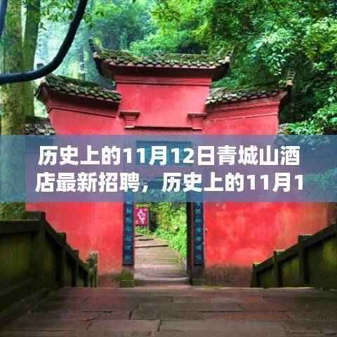 历史上的11月12日青城山酒店招聘深度解析与观点阐述