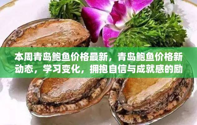 青岛鲍鱼价格新动态,励志之旅,拥抱自信与成就感的探索之旅