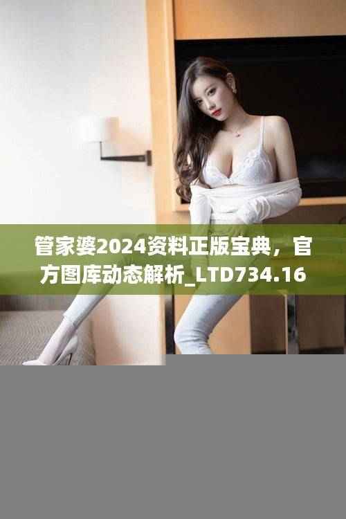 管家婆2024资料正版宝典,官方图库动态解析_LTD734.16