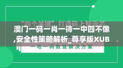 澳门一码一肖一待一中四不像,安全性策略解析_尊享版XUB378.02