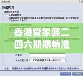 香港管家婆二四六期期精准资料解读大全,公开版数据解析UEO319.05