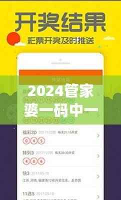 2024管家婆一码中一肖详解,精编版NWE977.45权威解读