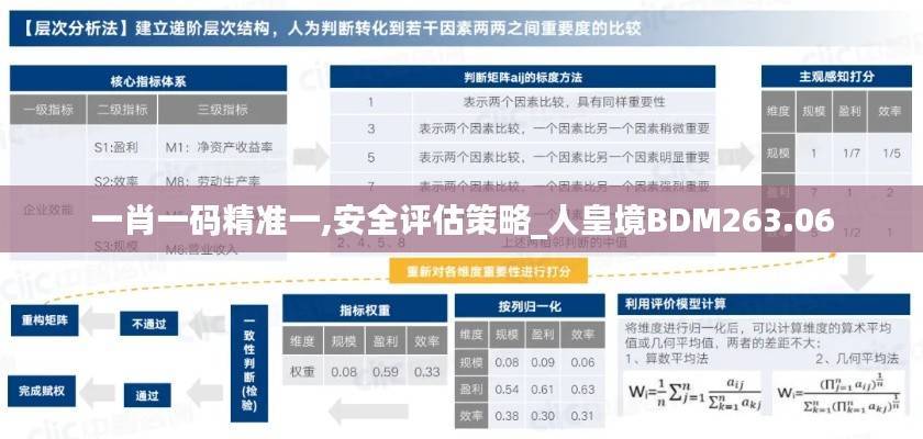 一肖一码精准一,安全评估策略_人皇境BDM263.06
