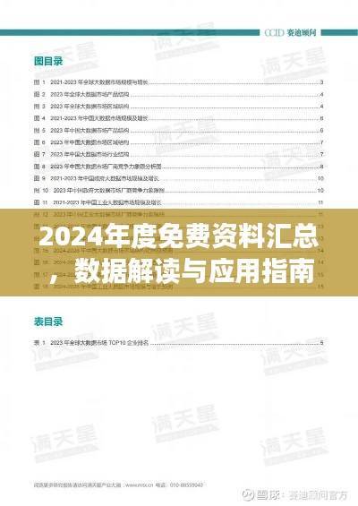 2024年度免费资料汇总,数据解读与应用指南:DNI247.4未来版