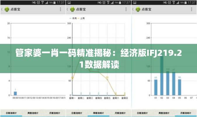 管家婆一肖一码精准揭秘:经济版IFJ219.21数据解读