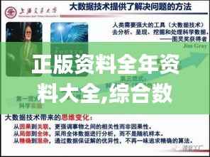 正版资料全年资料大全,综合数据解释说明_机动版YVW478.1