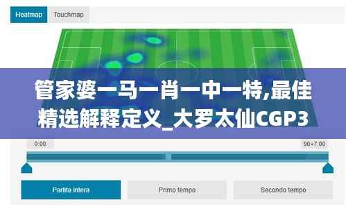 管家婆一马一肖一中一特,最佳精选解释定义_大罗太仙CGP388.83