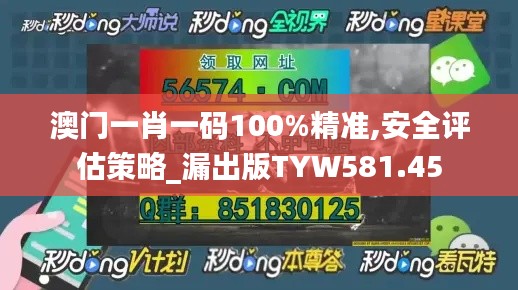 澳门一肖一码100%精准,安全评估策略_漏出版TYW581.45