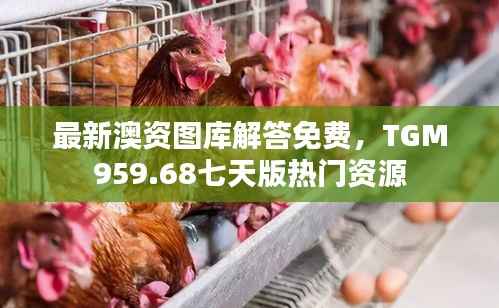 最新澳资图库解答免费,TGM959.68七天版热门资源