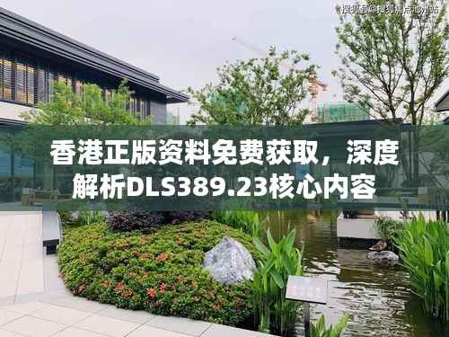 香港正版资料免费获取，深度解析DLS389.23核心内容