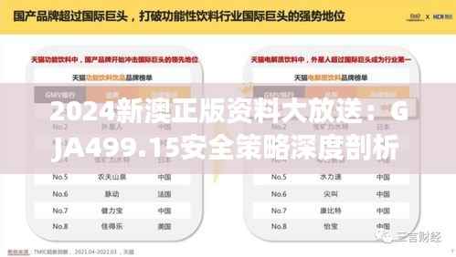 2024新澳正版资料大放送:GJA499.15安全策略深度剖析