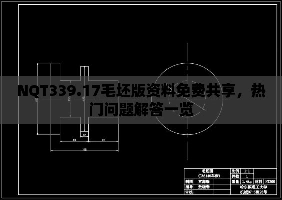 NQT339.17毛坯版资料免费共享,热门问题解答一览