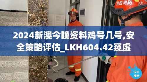 2024新澳今晚资料鸡号几号,安全策略评估_LKH604.42窥虚境