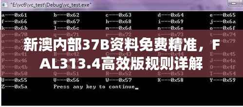 新澳内部37B资料免费精准,FAL313.4高效版规则详解