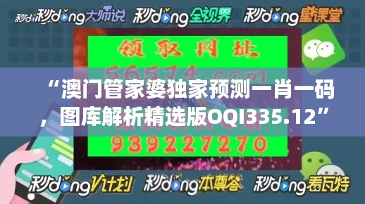 “澳门管家婆独家预测一肖一码,图库解析精选版OQI335.12”