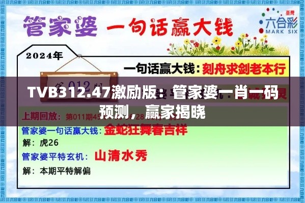TVB312.47激励版:管家婆一肖一码预测,赢家揭晓