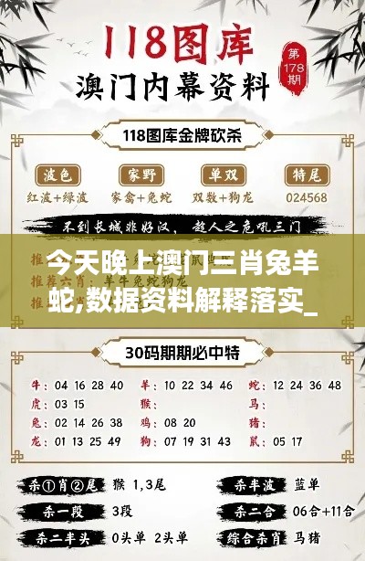 今天晚上澳门三肖兔羊蛇,数据资料解释落实_连续版MTY106.82