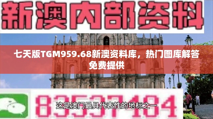 七天版TGM959.68新澳资料库,热门图库解答免费提供