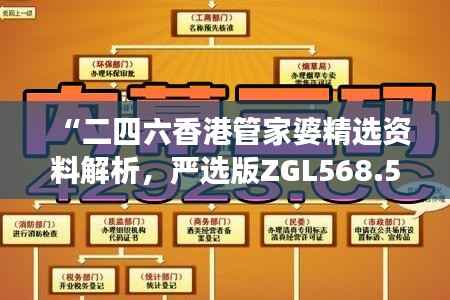 “二四六香港管家婆精选资料解析,严选版ZGL568.5深度解读”