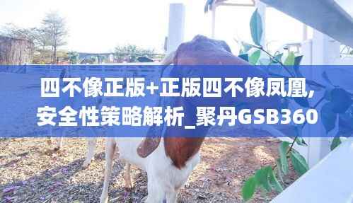 四不像正版+正版四不像凤凰,安全性策略解析_聚丹GSB360