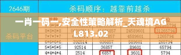 一肖一码一,安全性策略解析_天魂境AGL813.02