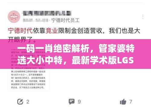 一码一肖绝密解析，管家婆特选大小中特，最新学术版LGS124.66详解