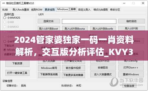 2024管家婆独家一码一肖资料解析，交互版分析评估_KVY383.89