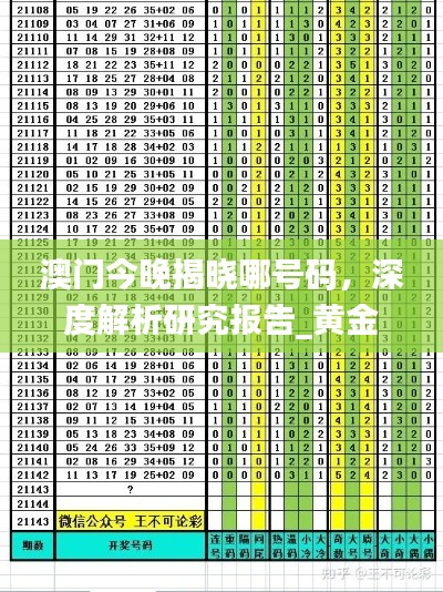 澳门今晚揭晓哪号码,深度解析研究报告_黄金版SPK625.36