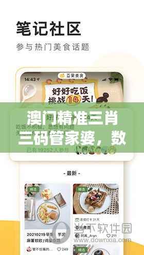 澳门精准三肖三码管家婆,数据解析版ZGC464.15高效版