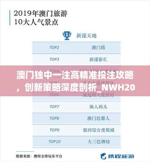 澳门独中一注高精准投注攻略，创新策略深度剖析_NWH203.55网络版