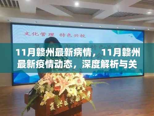 深度解析与关键信息汇总,赣州最新疫情动态及病情更新(11月版)