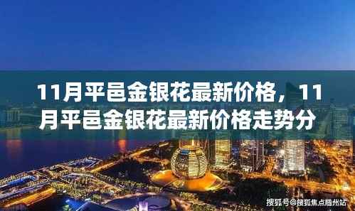 11月平邑金银花价格走势分析与多方观点交织的思考