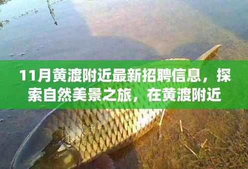 黄渡地区最新招聘与自然美景探索,工作求职与心灵宁静的双重寻觅