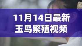 没精打采 第29页