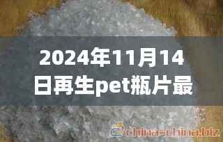 再生PET瓶片新星闪耀，揭秘未来价格，体验科技重塑生活之美