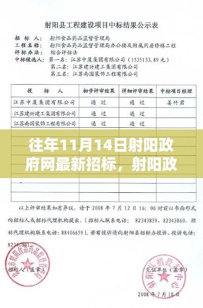 射阳政府网往年11月14日最新招标动态概览,聚焦重要招标活动回顾