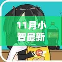 11月小智最新章节及观点论述概览