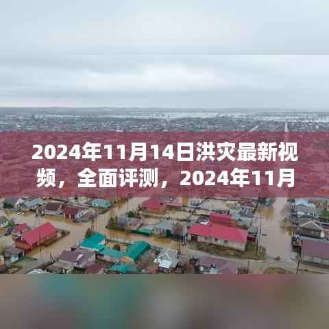 独家评测，揭秘洪灾最新视频实况