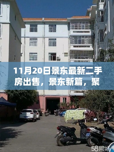 景东二手房市场新动态,聚焦11月20日房源出售信息
